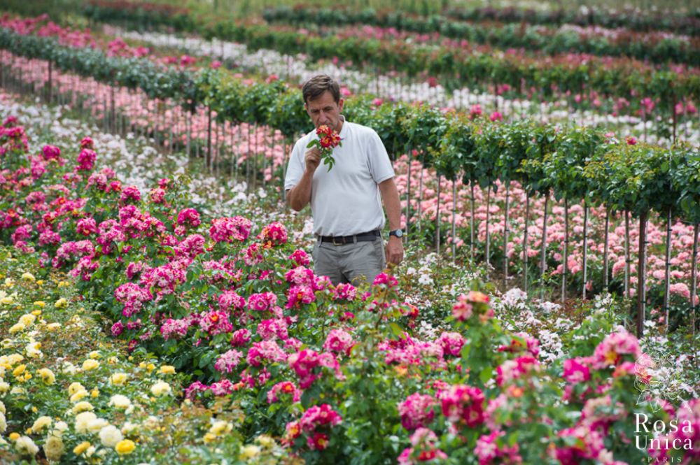 Pépinières de la Saulaie