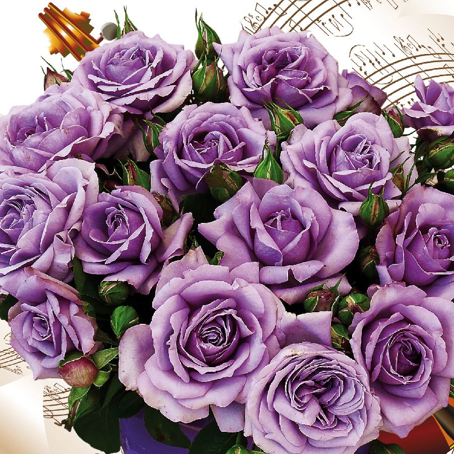 Love Song® – Image 2