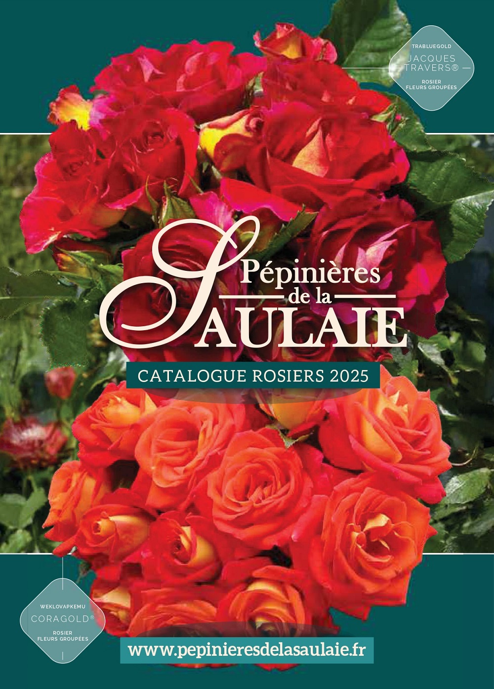 Catalogue