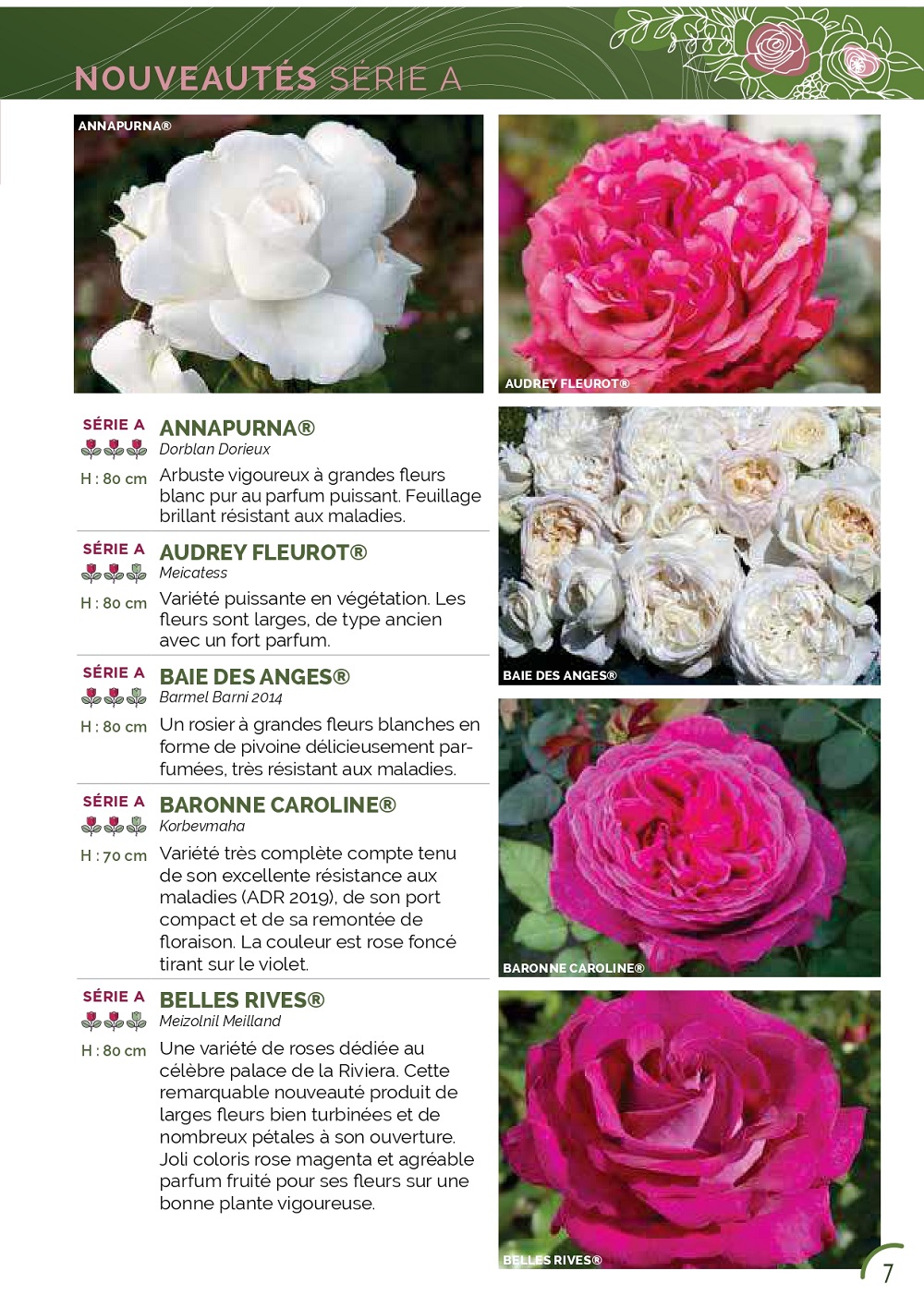 Catalogue – Image 2