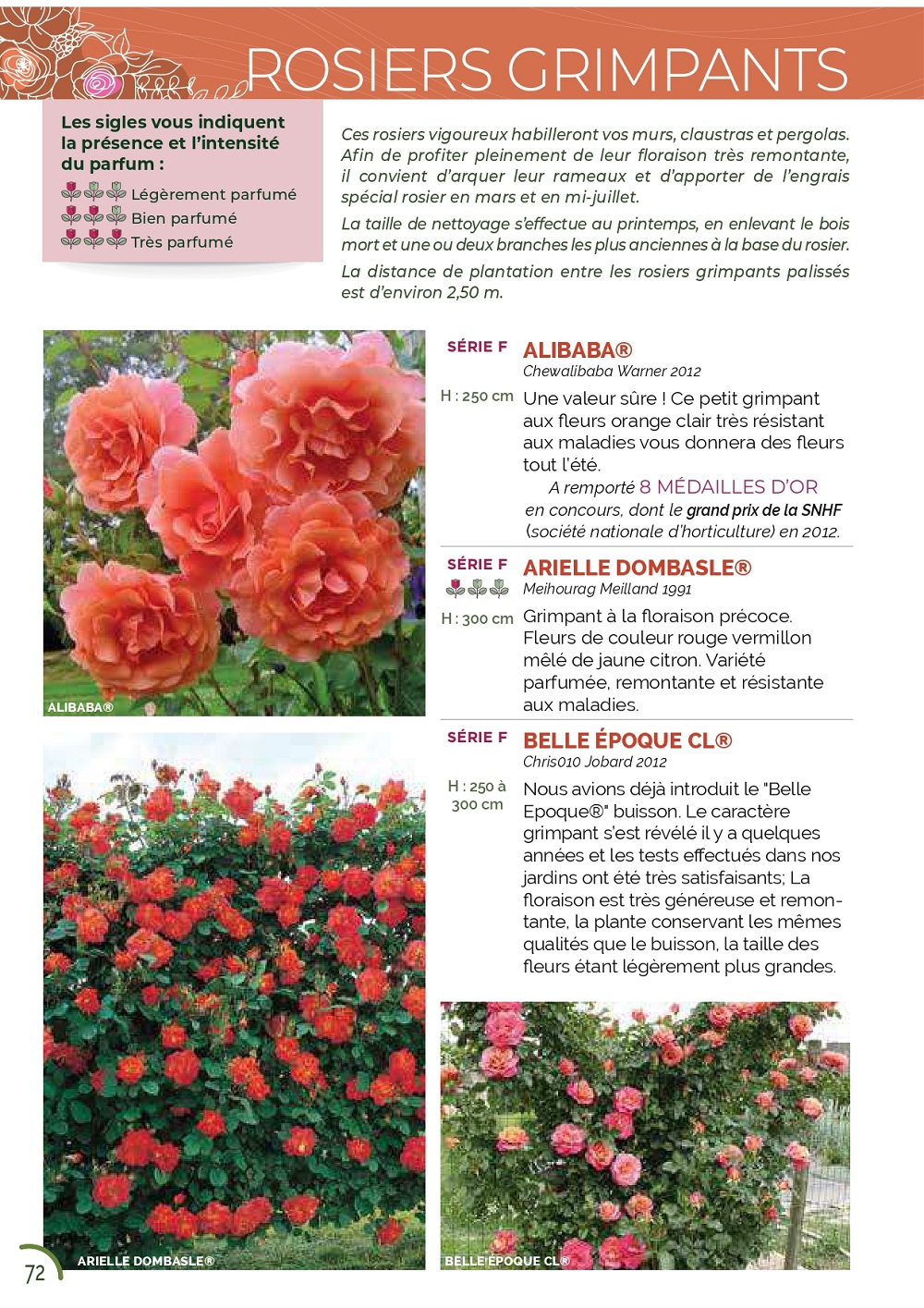 Catalogue – Image 3